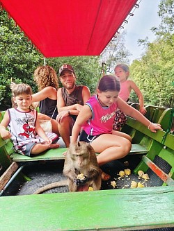 Monkey swimming activity